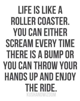 LIFE IS LIKE A ROLLER COASTER