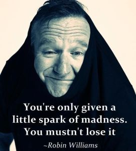 robin williams silly pic