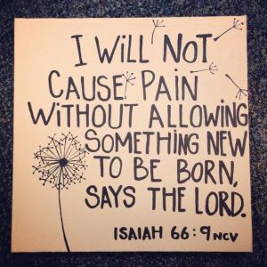 i will not cause pain without something better to be born